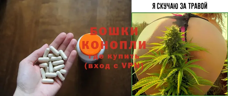 Марихуана White Widow  Вяземский 